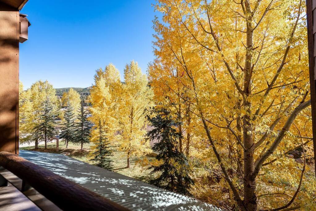Ski-In/Ski-Out Zephyr 1 Bedroom Condo Winter Park Exteriör bild